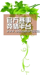 官方赛事竞猜平台 - BBIN登录入口
