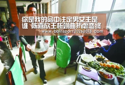 你是我的命中注定男女主是谁 陈嘉欣王析翊曲折虐恋终获圆“BBIN赛事”(图2) BBIN娱乐城