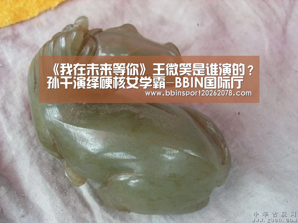 《我在未来等你》王微笑是谁演的？孙千演绎硬核女学霸-BBIN