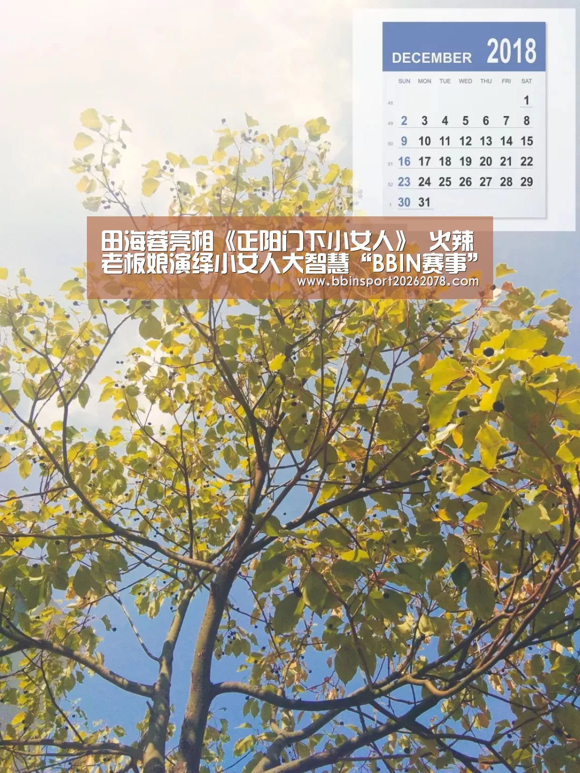 BBIN国际厅